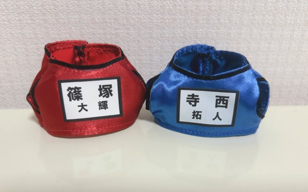 画像1: timelesz　ゼッケン付きベスト(ストラップダッフィー用) (1)